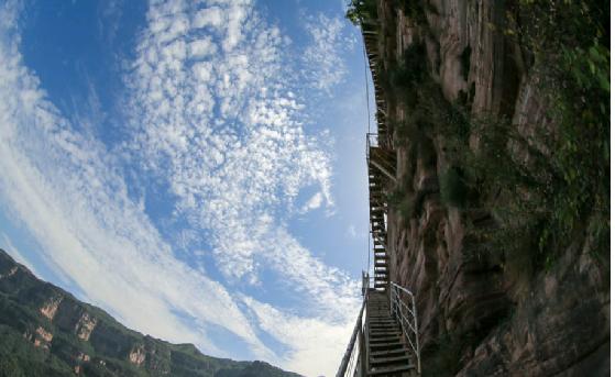 viewfile (2).jpg